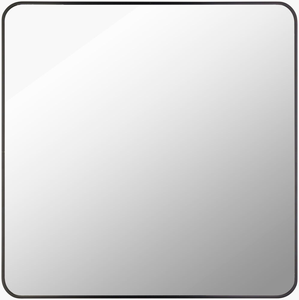 Aranya Accent Mirror large image 