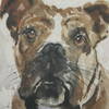 Dog Days Framed Prints Set/4, Art by Uttermost, 28" width x 23.37" height x 1.75" depth thumbnail 5