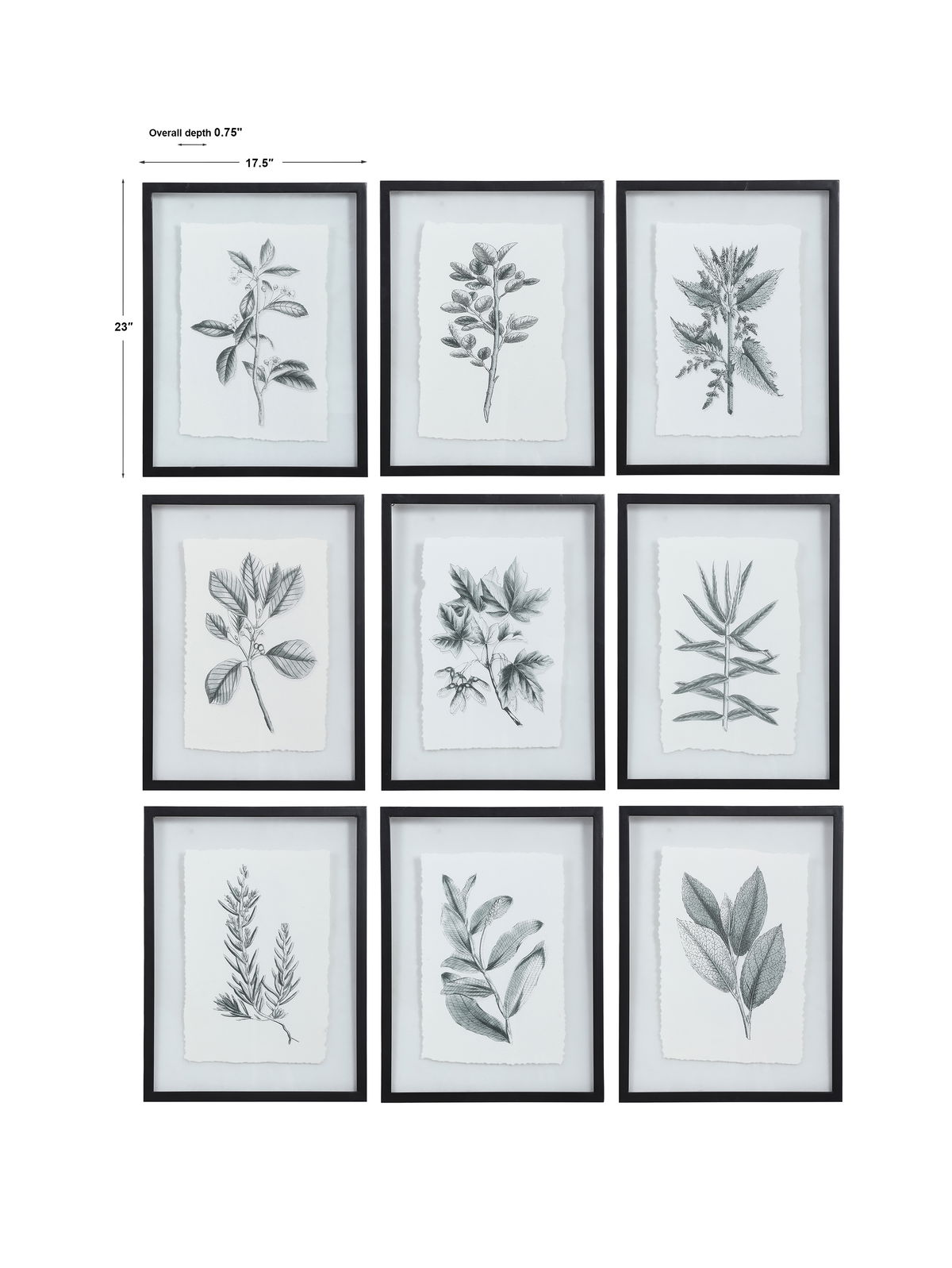 Farmhouse Florals Framed Prints Set/9, Art by Uttermost, 17.5" width x 23" height x 0.75" depth View 3