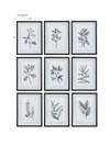 Farmhouse Florals Framed Prints Set/9, Art by Uttermost, 17.5" width x 23" height x 0.75" depth thumbnail 3