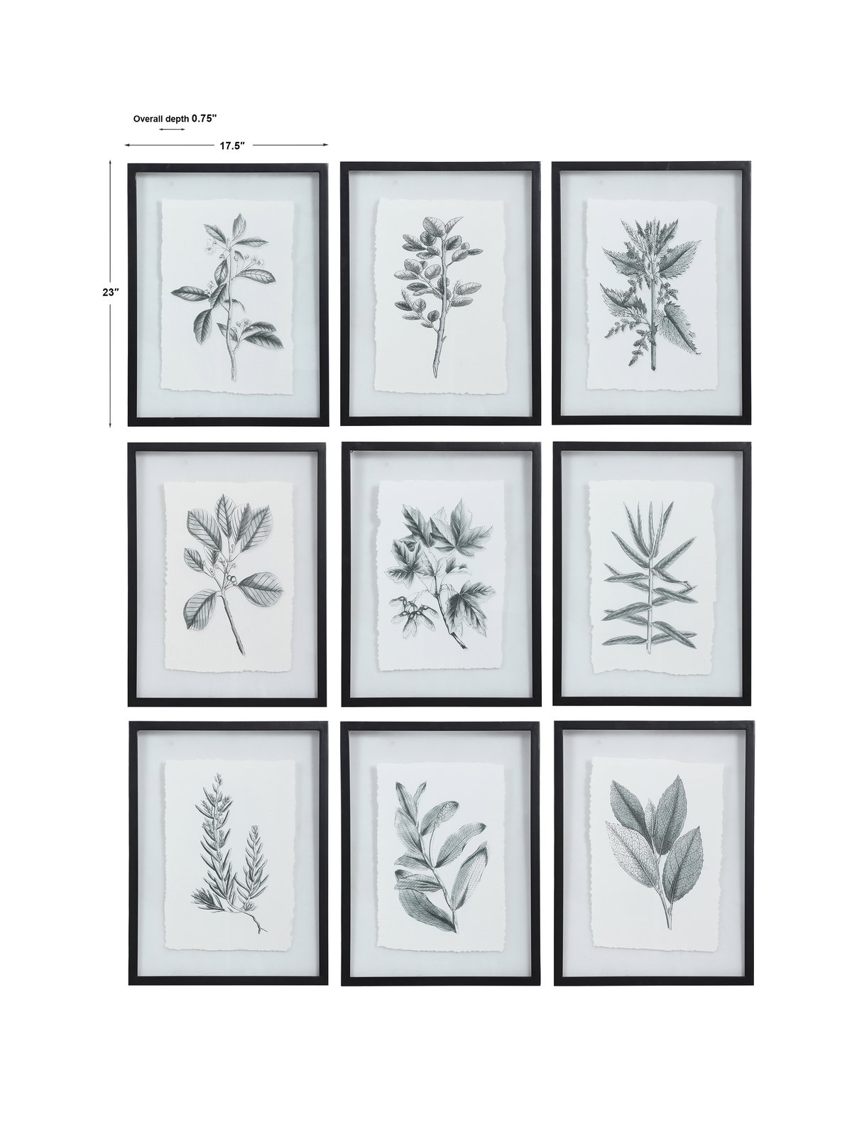 Farmhouse Florals Framed Prints Set/9, Painting by Uttermost, 17.5" width x 23" height x 0.75" depth View 3