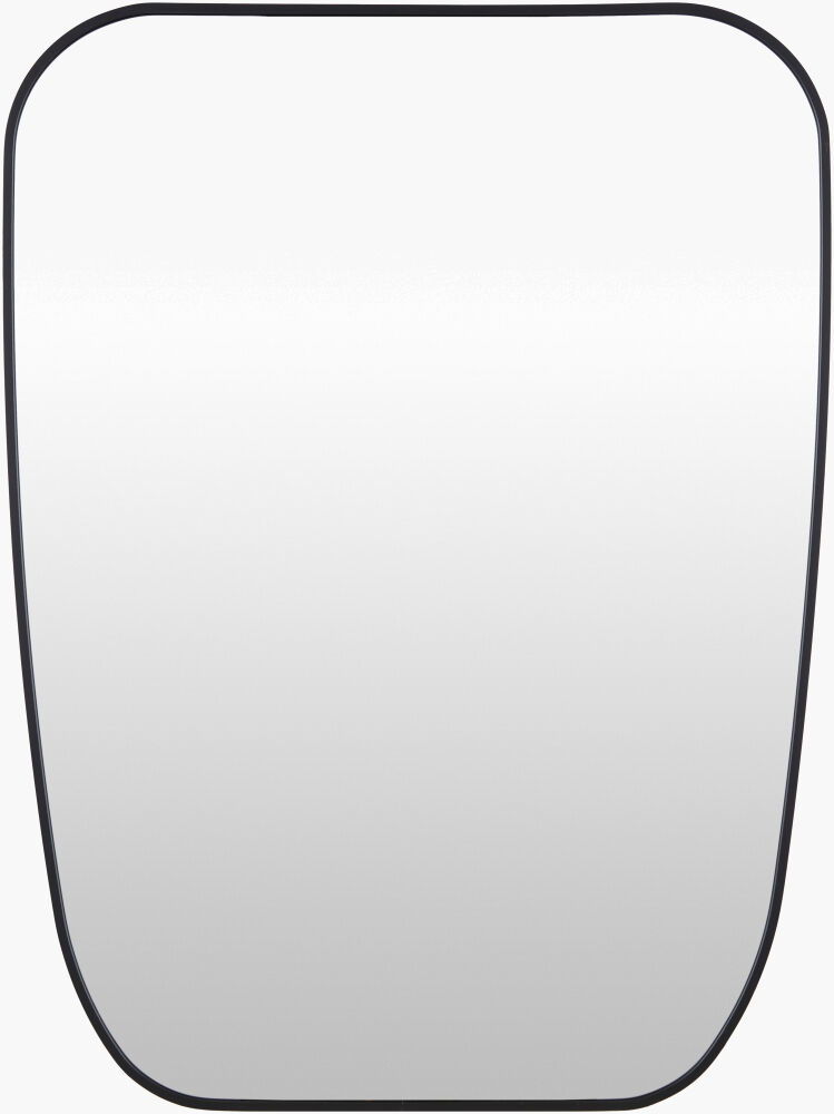 Aranya Accent Mirror large image 