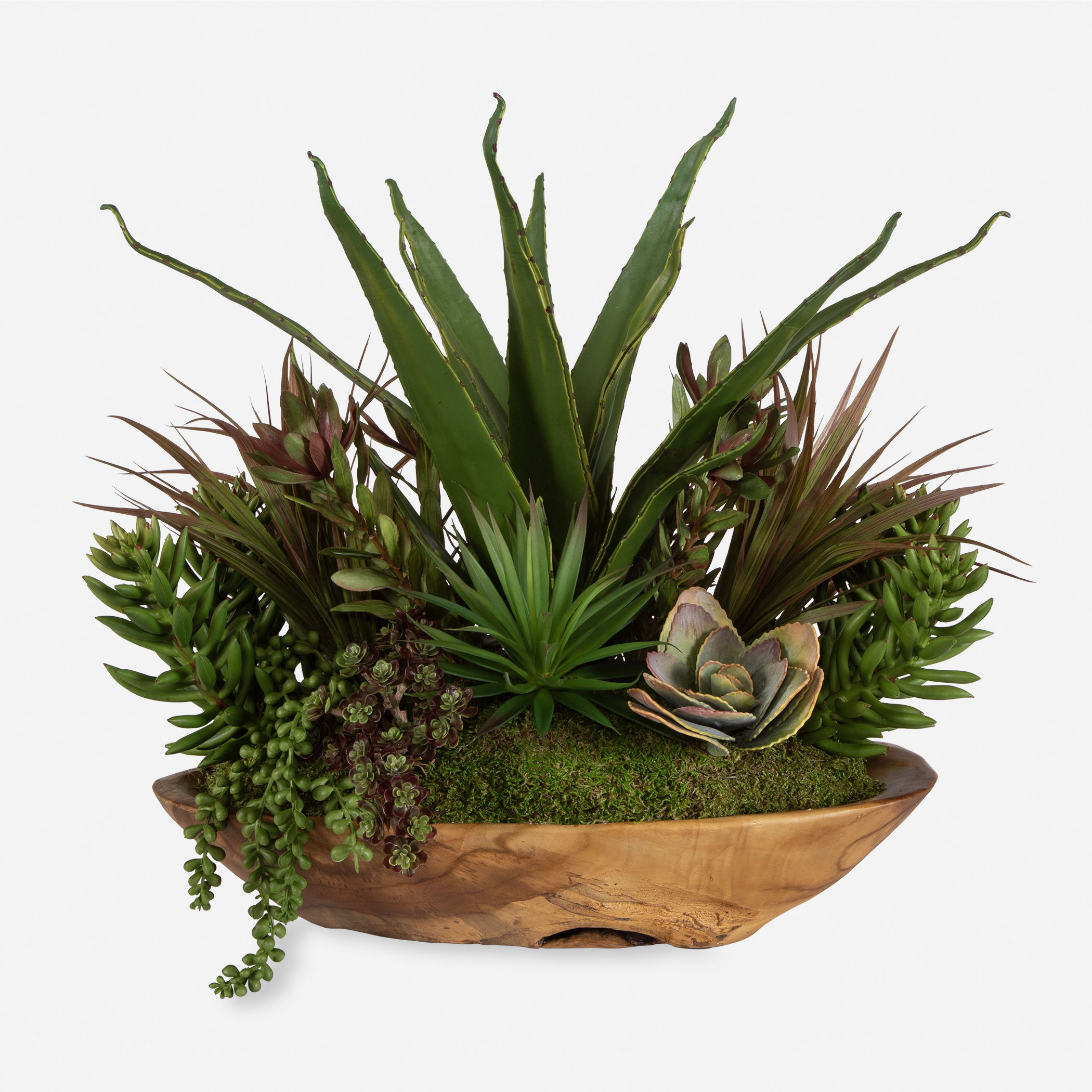 Salar Succulents In Teak Bowl large image 