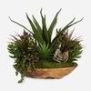 Salar Succulents In Teak Bowl thumbnail 0