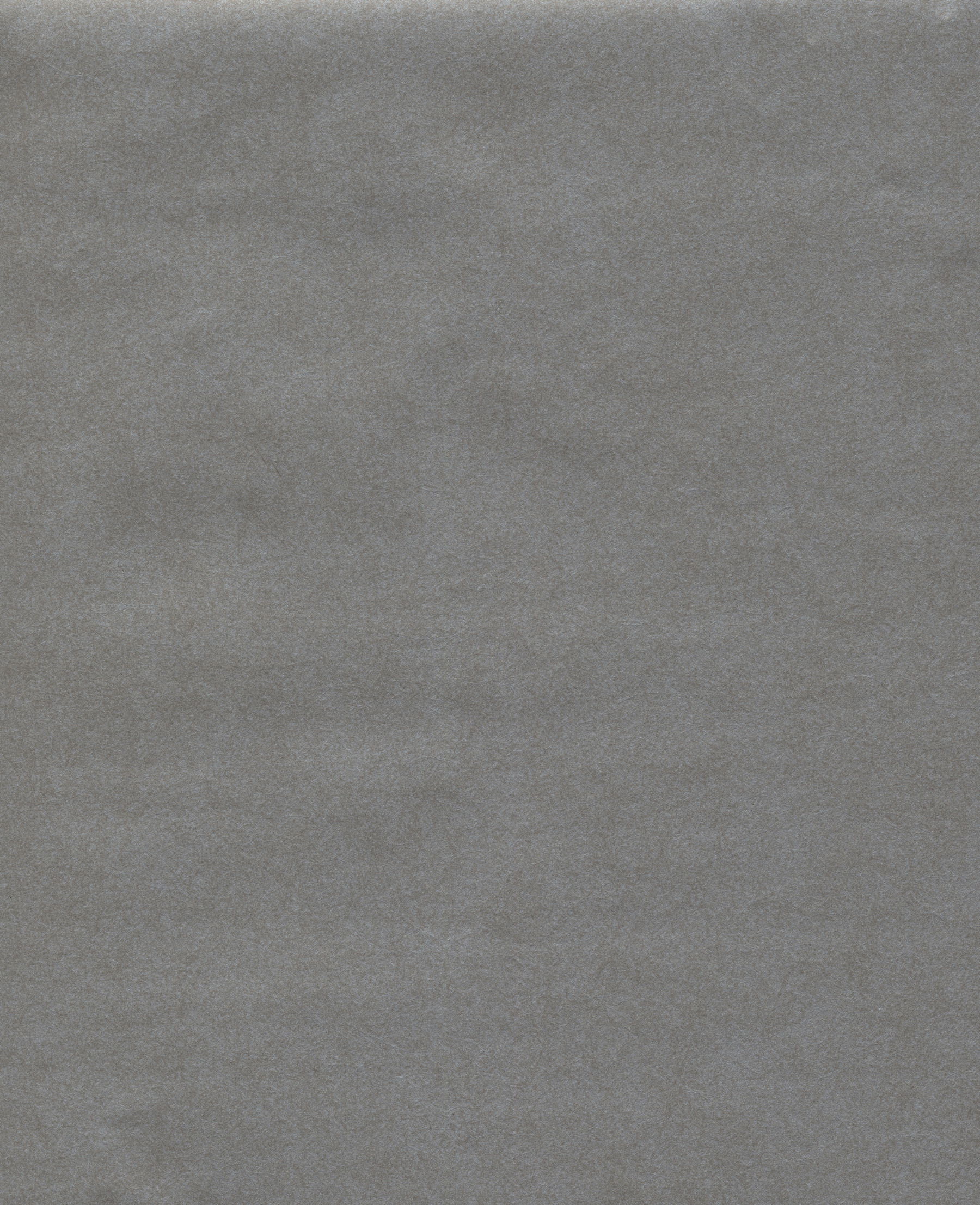 Oasis Dark Grey Wallpaper large image 