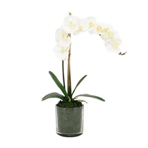Online Designer Bathroom Polysilk Orchid Arrangement in Vase