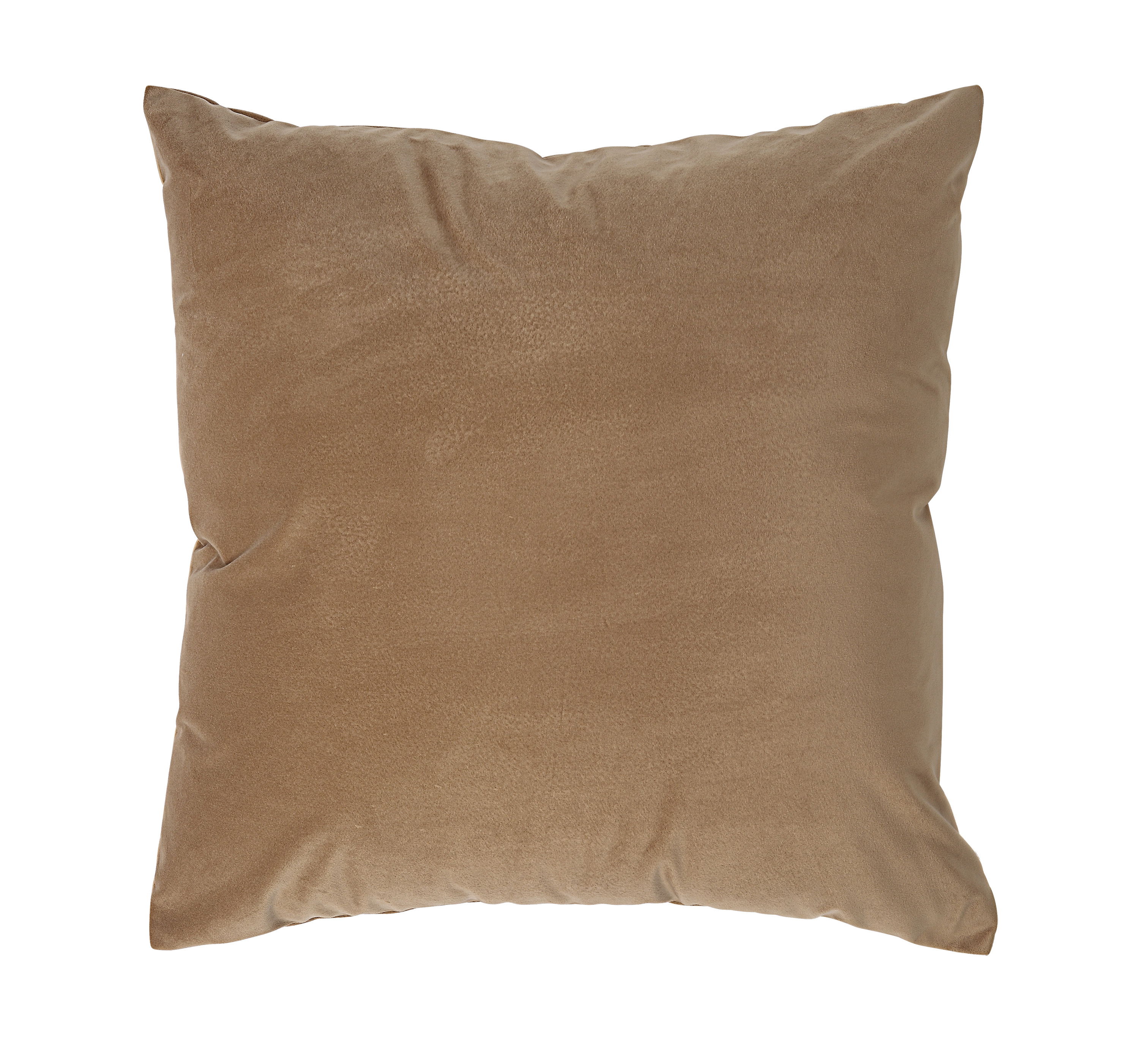 Alchemilla Indoor Pillow large image 