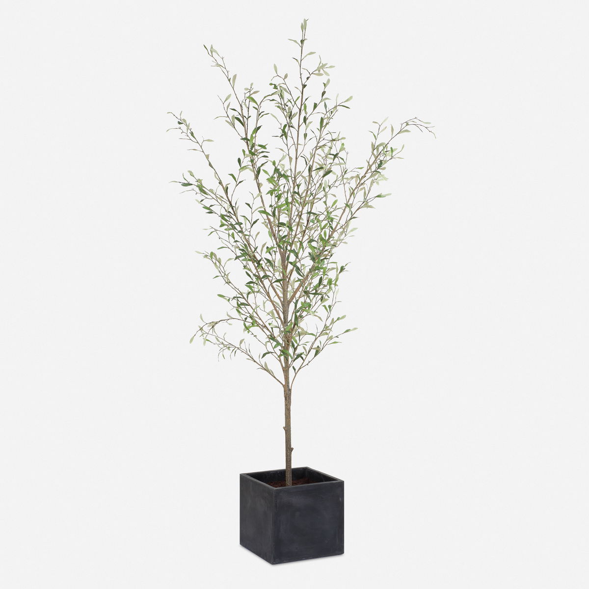 Abundance Potted Olive Tree, Artificial Plants & Flower by Uttermost, 31.5" width x 90.5" height x 31.5" depth View 1