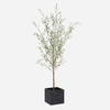 Abundance Potted Olive Tree, Artificial Plants & Flower by Uttermost, 31.5" width x 90.5" height x 31.5" depth thumbnail 1
