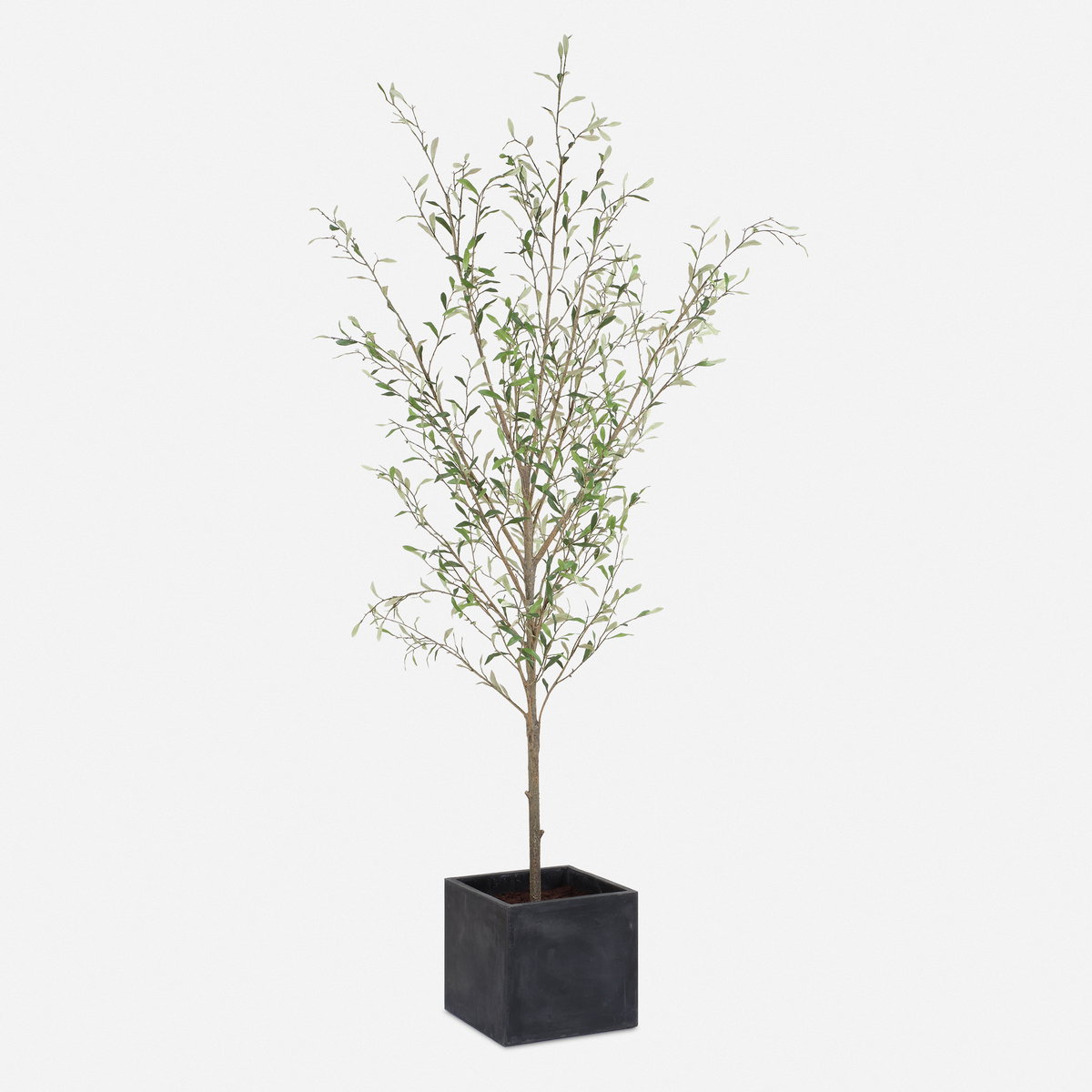 Abundance Potted Olive Tree, by Uttermost, 2'7.5" width x 7'6.5" height x 2'7.5" depth View 1