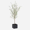 Abundance Potted Olive Tree, by Uttermost, 2'7.5" width x 7'6.5" height x 2'7.5" depth thumbnail 1