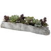 Charita Lush Succulents, Artificial Plants & Flower by Uttermost, 29.5" width x 10" height x 10" depth thumbnail 3