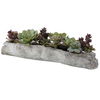 Charita Lush Succulents, Decorative by Uttermost, 29.5" width x 10" height x 10" depth thumbnail 3