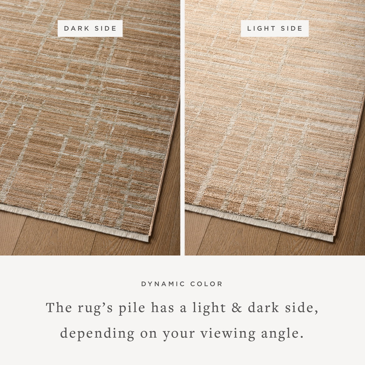 Loloi Wade Rug, 5'3" length x 7'9" width View 3