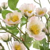 Tranquility Lenten Rose Bouquets Set/2 thumbnail 2