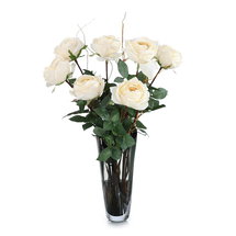Online Designer Bathroom John Richard Heirloom Roses Plant