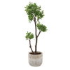 Arbor Strawberry Tree, by Uttermost, 1'1.5" width x 3'7" height x 1'2.75" depth thumbnail 1