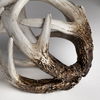 Ramus I (Small) 5L x 5W Brown Antler Shaped Decorative Resin Orb Ball thumbnail 5