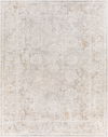 Carmel Machine Woven Rug, by Surya, 10'0.08" length x 7'10.49" width thumbnail