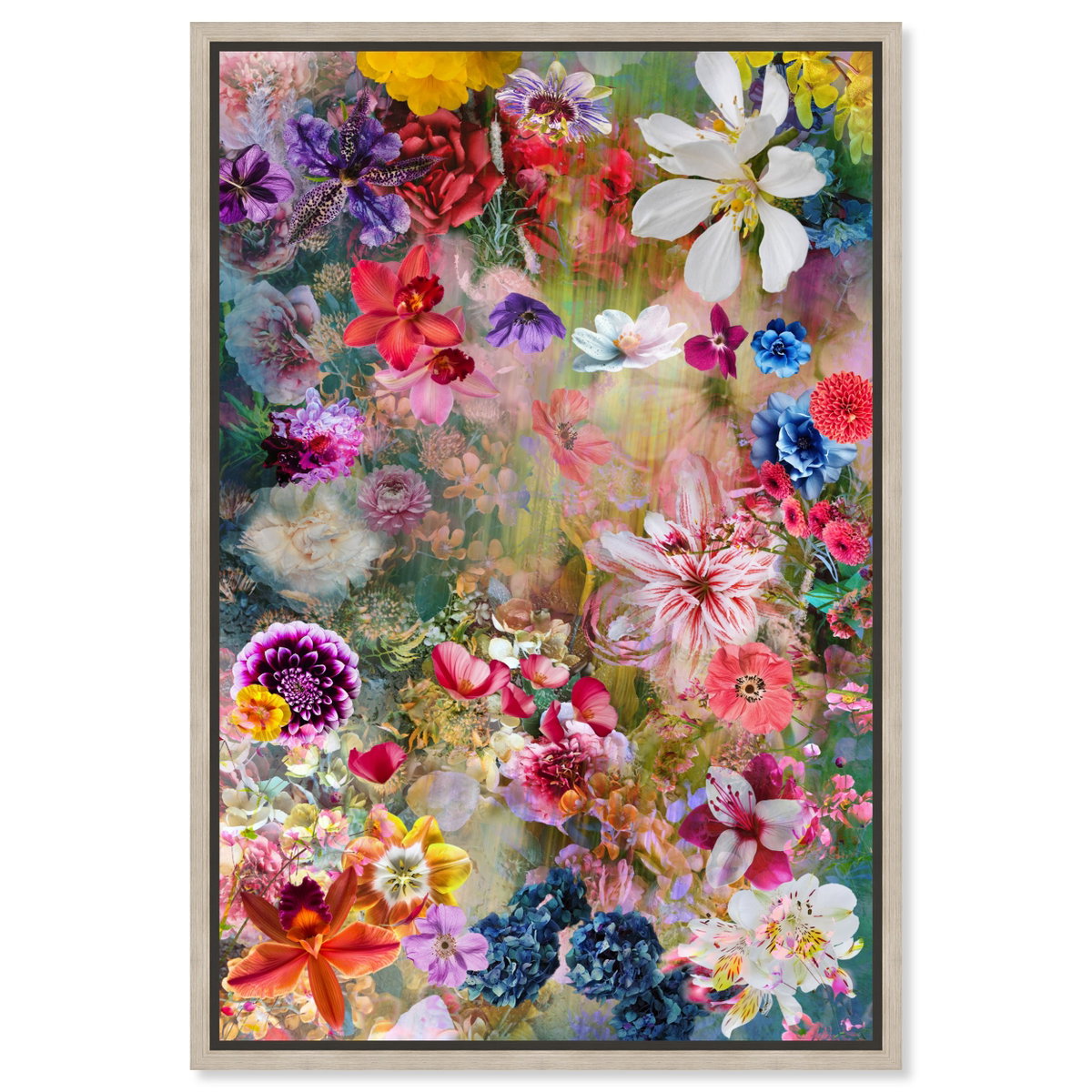 Azlan Bloom Floral (No Embellishment), Art by Oliver Gal,  16x24 View 1