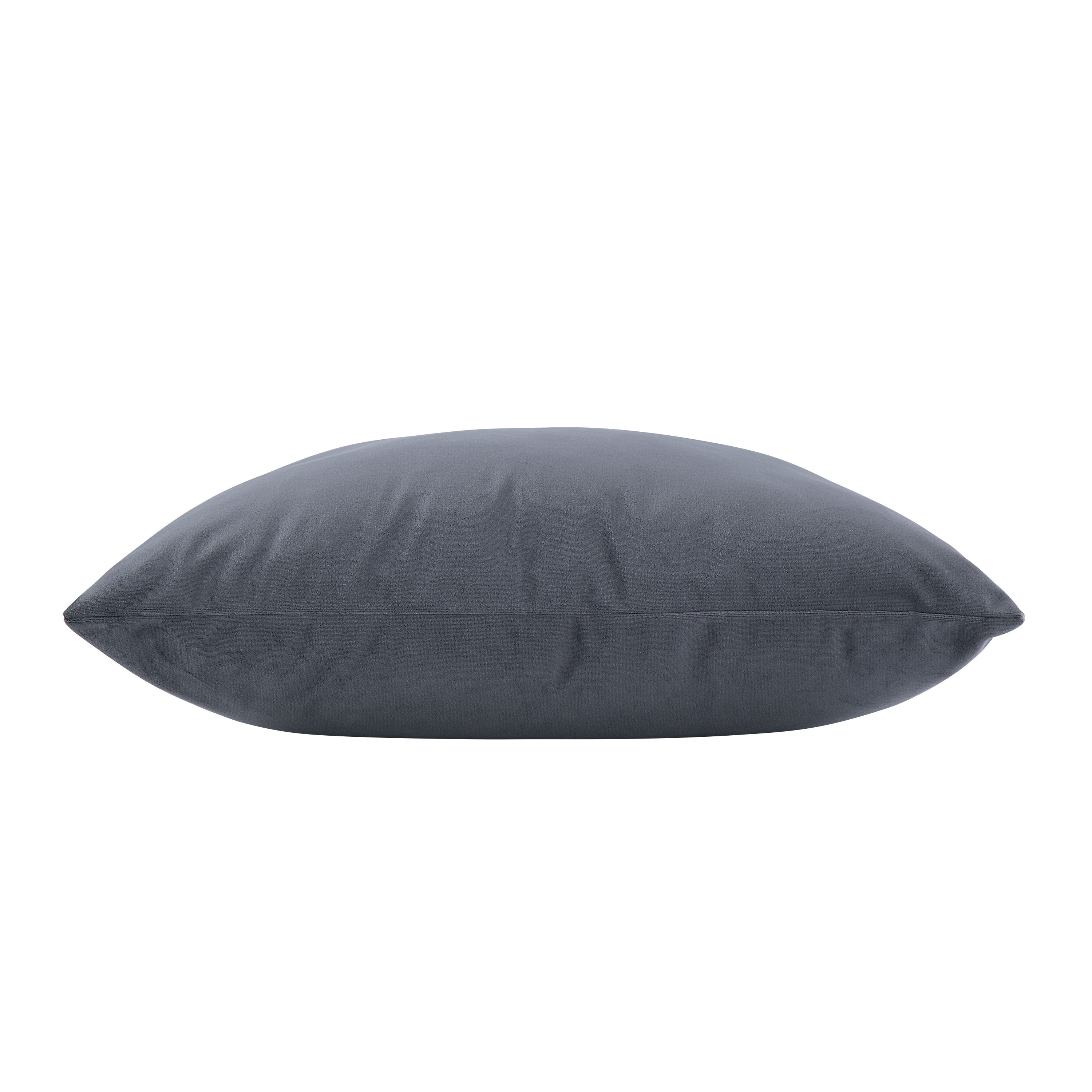 Anemone Indoor Pillow large image 
