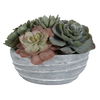 Peoria Succulent Accent thumbnail 2