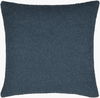 Eesha Accent Pillow Down, Decorative Pillow by Surya, 20" length x 20" width thumbnail