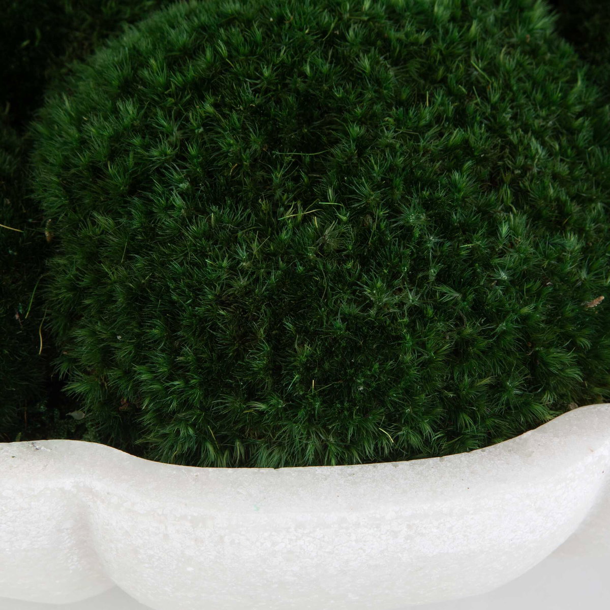 Awaken Moss Centerpiece, Decorative by Uttermost, 16.75" width x 6" height x 16.75" depth View 4