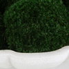 Awaken Moss Centerpiece, Decorative by Uttermost, 16.75" width x 6" height x 16.75" depth thumbnail 4