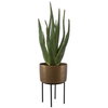 Arabia Aloe Planter, Artificial Plants & Flower by Uttermost, 19.7" width x 37" height x 19.7" depth thumbnail 3