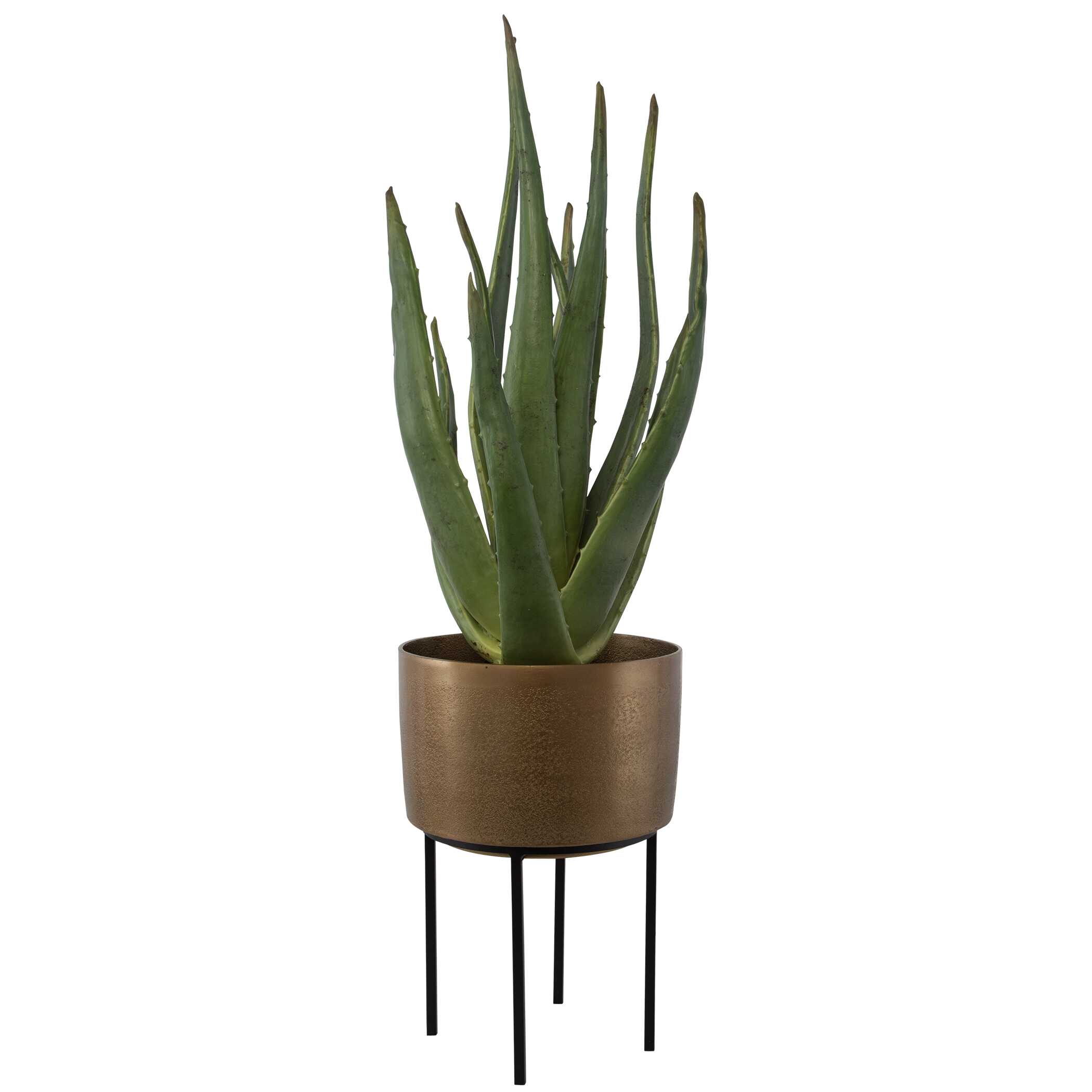 Arabia Aloe Planter, Decorative by Uttermost, 19.7" width x 37" height x 19.7" depth View 3