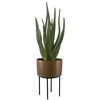 Arabia Aloe Planter, Decorative by Uttermost, 19.7" width x 37" height x 19.7" depth thumbnail 3