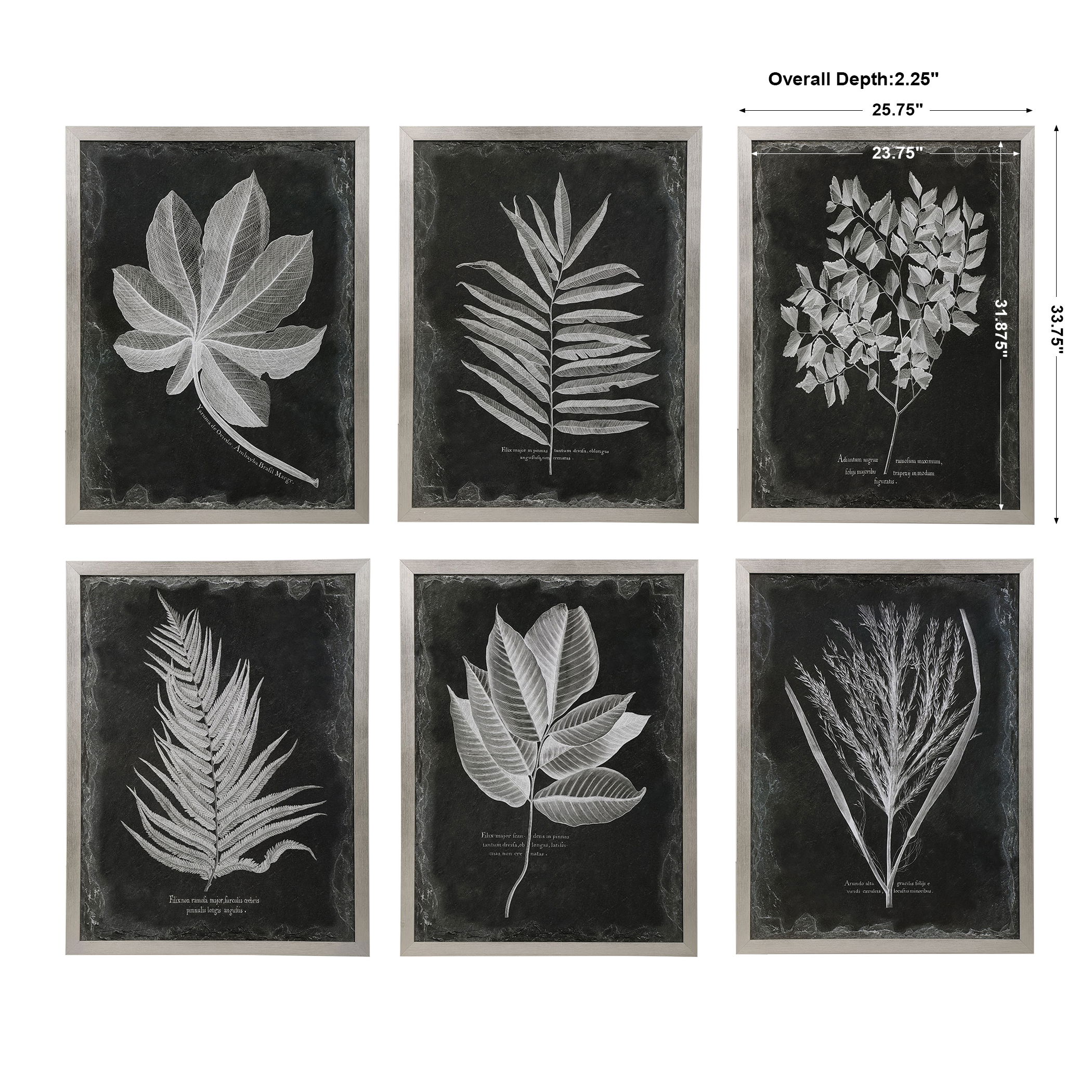 Foliage Framed Prints, S/6 large image 