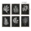 Foliage Framed Prints, S/6 thumbnail 7