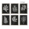 Foliage Framed Prints Set/6 thumbnail 2