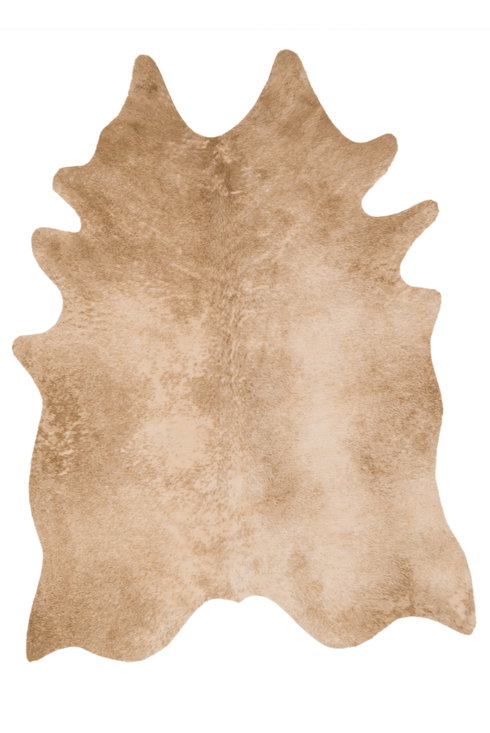 Loloi Grand Canyon Rug