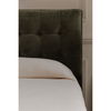 Sebastion Queen Storage Bed Green, by Moe's Home, 5'4.56" width x 3'8.88" height x 7'1.43" depth thumbnail 7