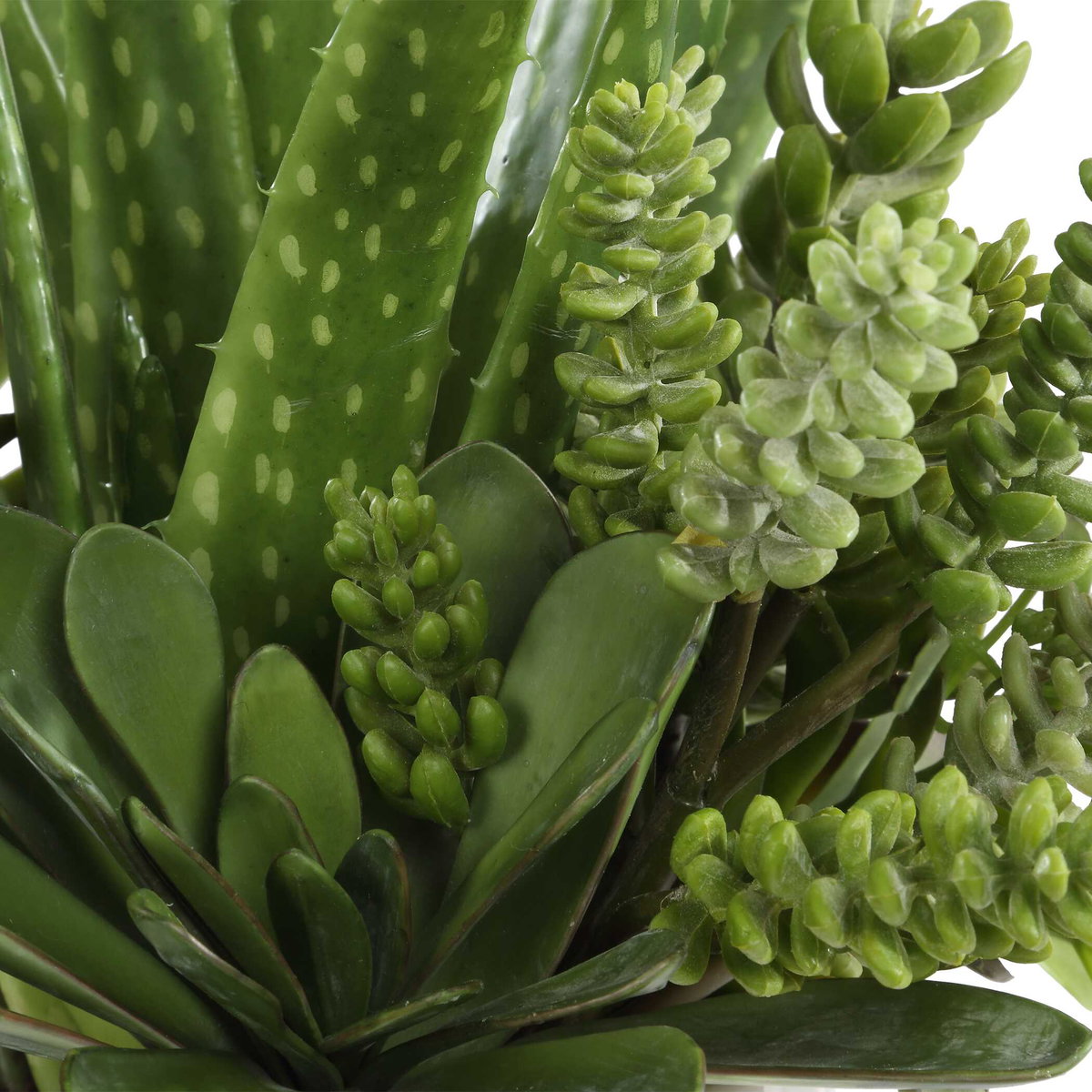Sundown Succulent Accent Planter, by Uttermost, 14" width x 16.5" height x 13" depth View 4