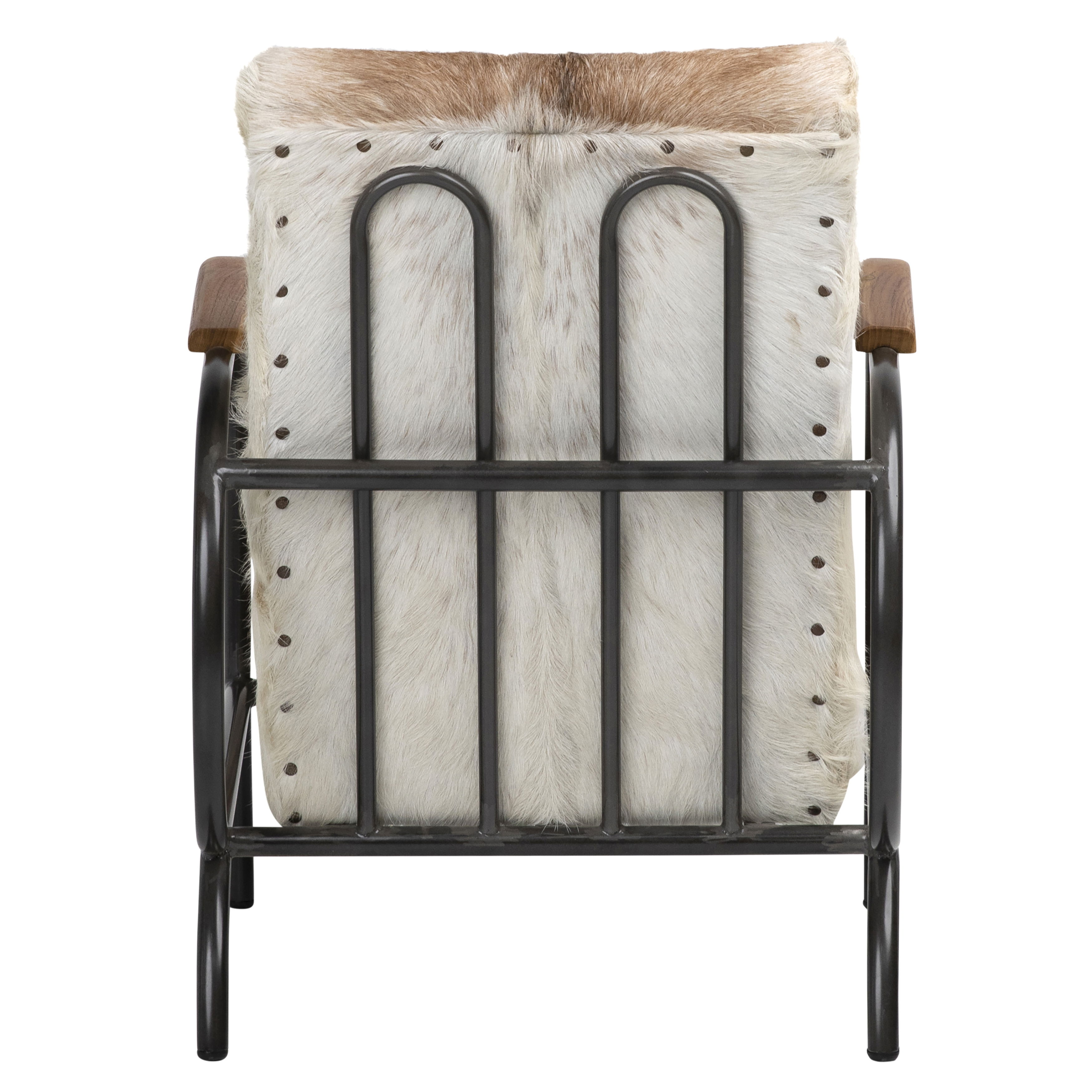 Laney Occasional Chair, Accent Chair by Dovetail, 23.3" width x 32.3" height x 31" depth View 4