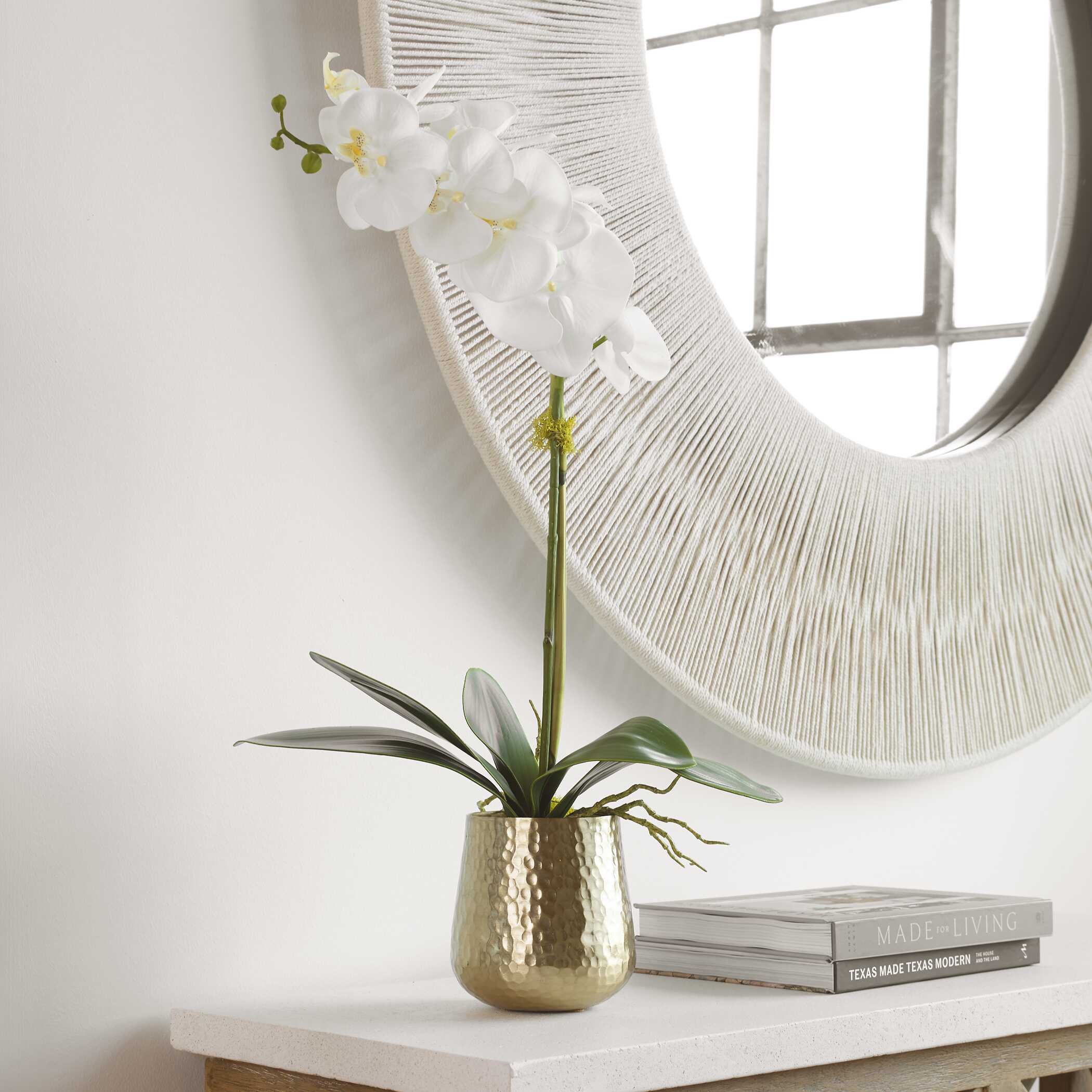 Cami Orchid With Brass Pot Cami Orchid With Brass Pot large image