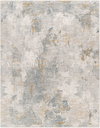 Dresden Machine Woven Rug, by Surya, 13'11.32" length x 10'0.08" width thumbnail