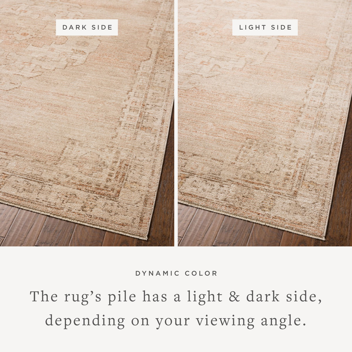 Chris Loves Julia x Loloi Palma Rug, 2'7" length x 7'6" width View 3
