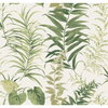 Green Fern Forest Wall Mural, Wallpaper by York Wall, 10' length x 1'6" width x 0.02" depth thumbnail