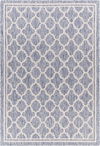 Tuareg Machine Woven Rug thumbnail 0