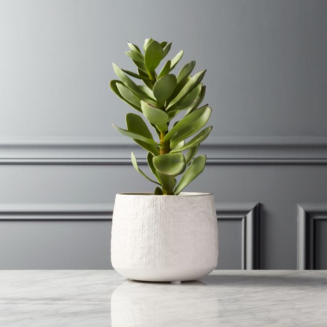 Online Designer Living Room Potted Faux Succulent White Pot 14