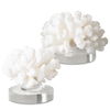 Hard Coral Sculptures, S/2 thumbnail 0