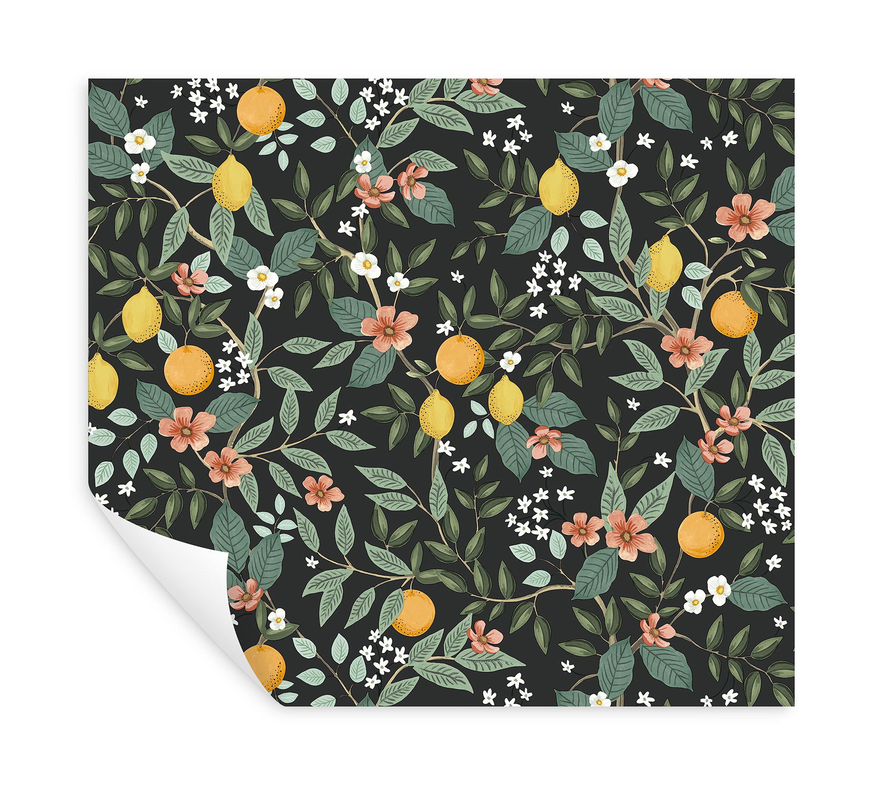 Citrus Grove Black Peel & Stick Wallpaper large image 