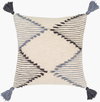 Midvale Accent Pillow, Decorative Pillow by Surya, 18" length x 18" width thumbnail