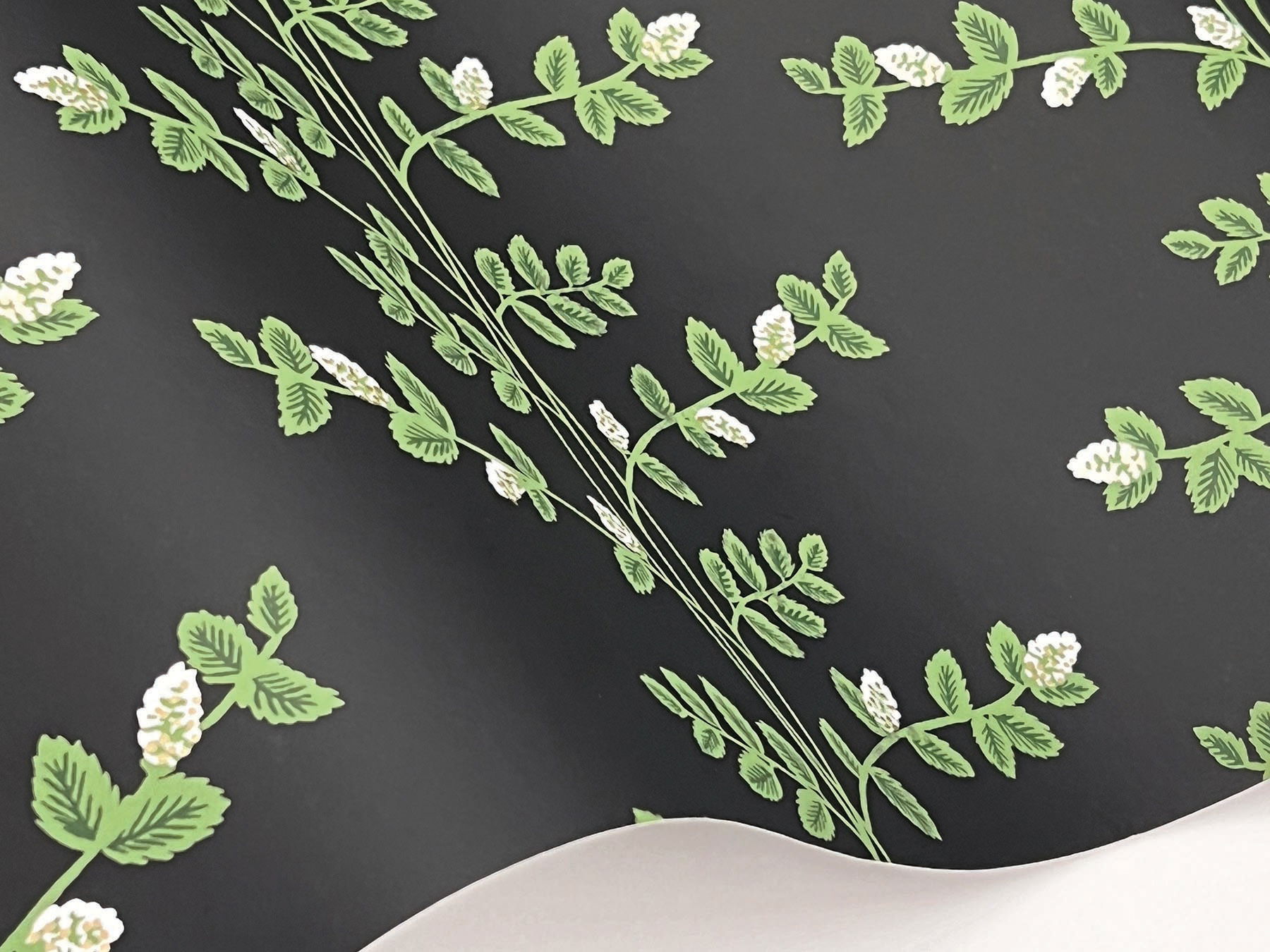 Climbing Vine Black Wallpaper large image 