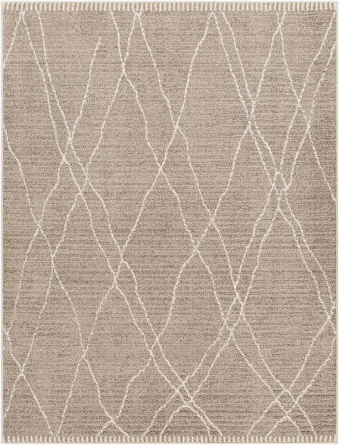 Cozy Machine Woven Rug